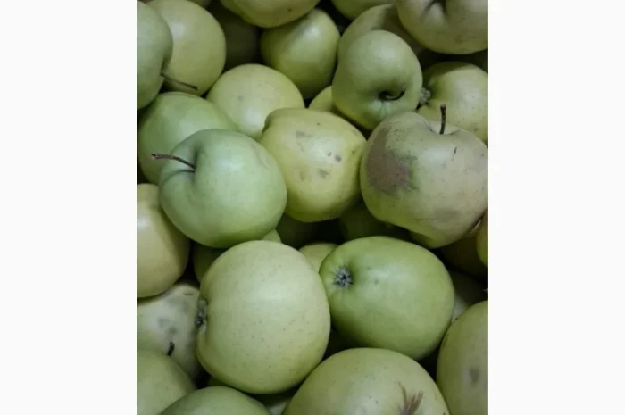 Продам яблоко сорт Голден 3 сорт- фото № 1