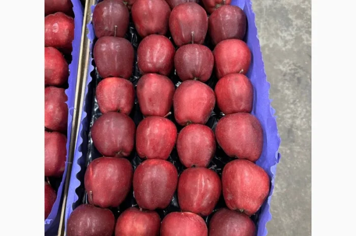 Продаются яблоки сорта Джерамін- фото № 1