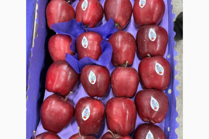 Продаются яблоки сорта Джерамін- фото № 3