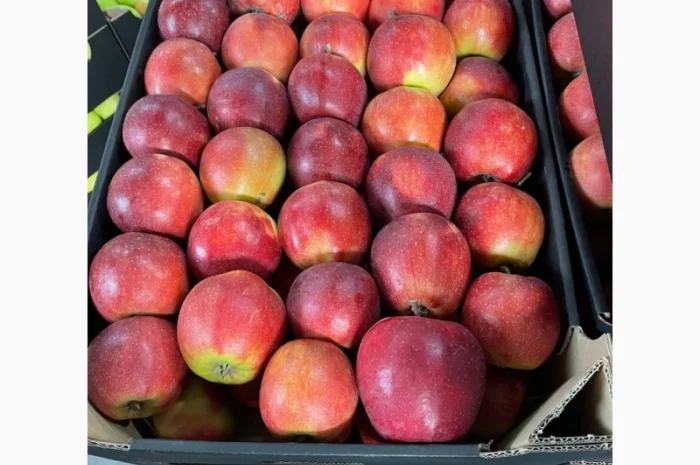 Продам яблоки несколько сортов с хранилищя. От производителя с 20 тонн- фото № 1