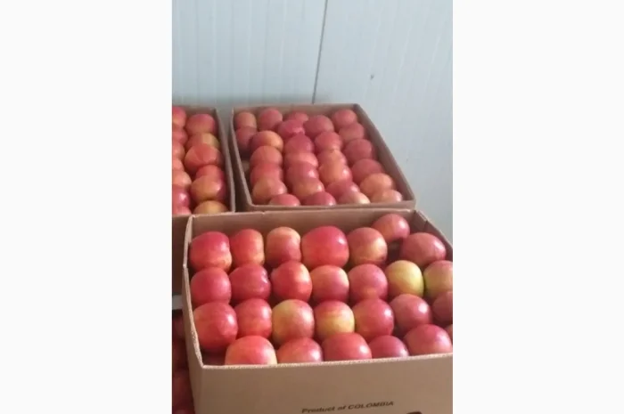 Продаются яблоки разных сортов- фото № 2