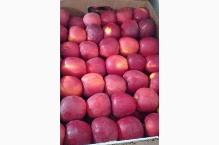 Продаются яблоки разных сортов- фото № 5