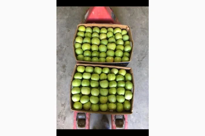 Продаются яблоки разных сортов- фото № 6