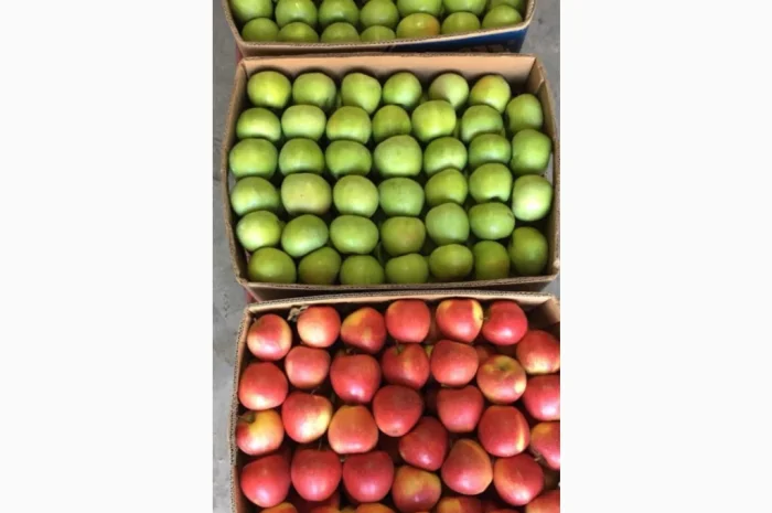 Продаются яблоки разных сортов- фото № 7