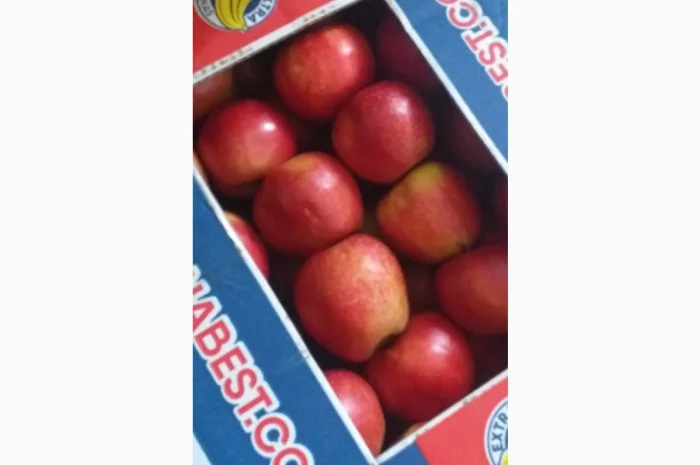 Продаются яблоки разных сортов- фото № 8