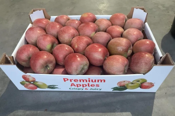 Продам яблука: фуджі, голден- фото № 1