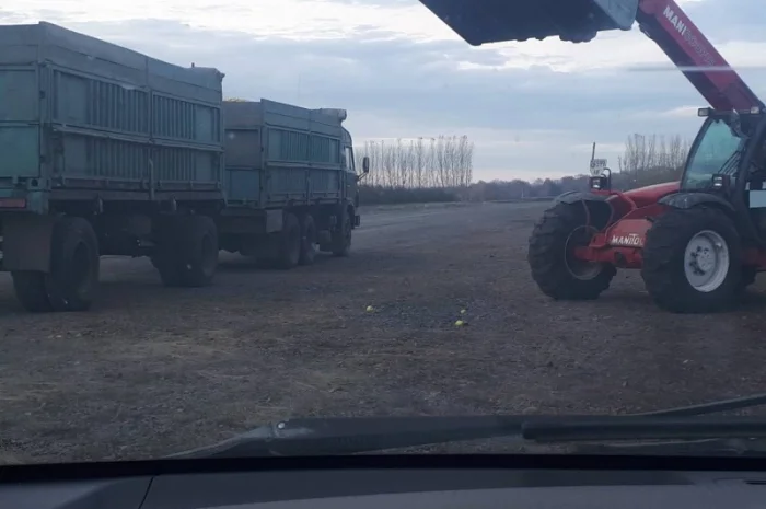 Купимо яблука на сік, переробку, люба область, дог- фото № 1