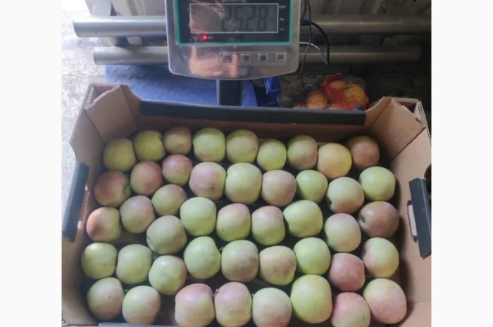 У меня есть покупатели в разных странах на яблоки разных сортов- фото № 8