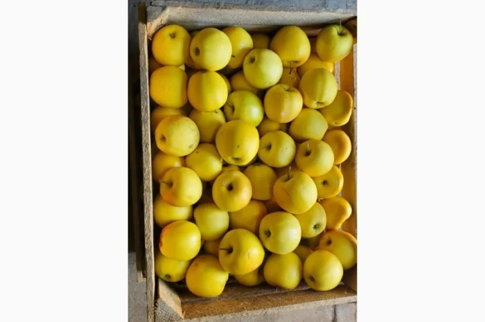 Покупаем яблоки разных сортов оптом- фото № 5