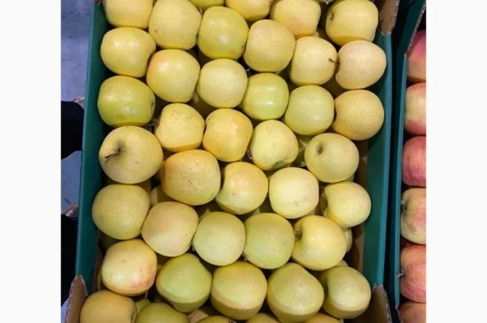 Продам яблоки от произодителя несколько сортов с 20 тонн- фото № 9