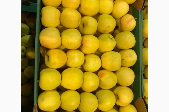 Продаж яблук від виробника – кілька сортів, 20 тонн- фото № 7