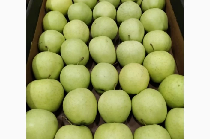 Продам яблоки от производителя несколько сортов с 10 тонн- фото № 2