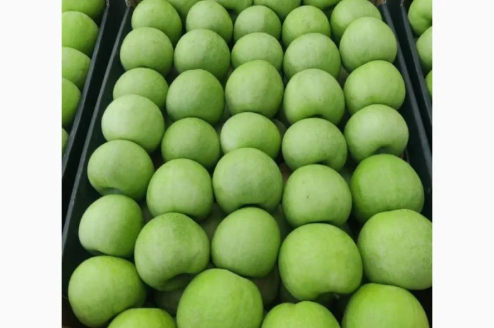 Продам яблоки от производителя несколько сортов с 10 тонн- фото № 3