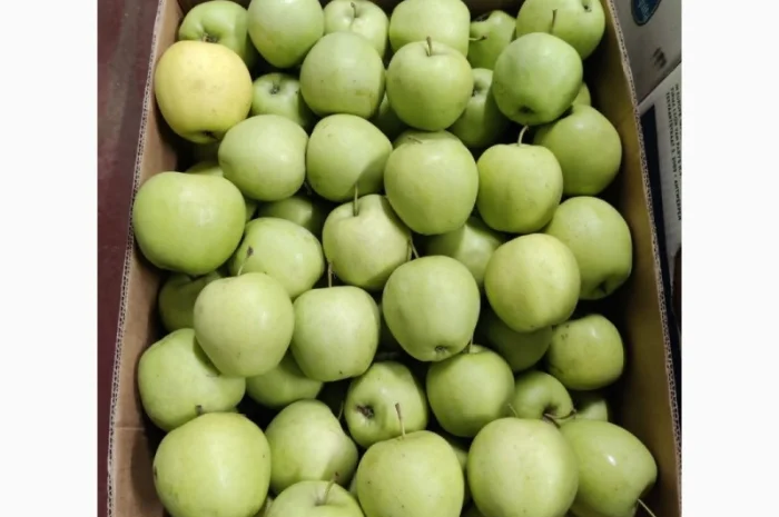 Продам яблоки от производителя несколько сортов с 10 тонн- фото № 4