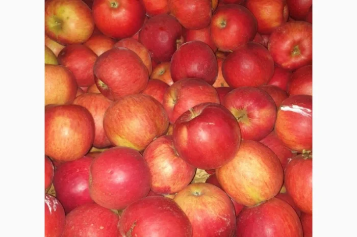 Продам яблоки де кілька сортів з 5 тонн- фото № 1