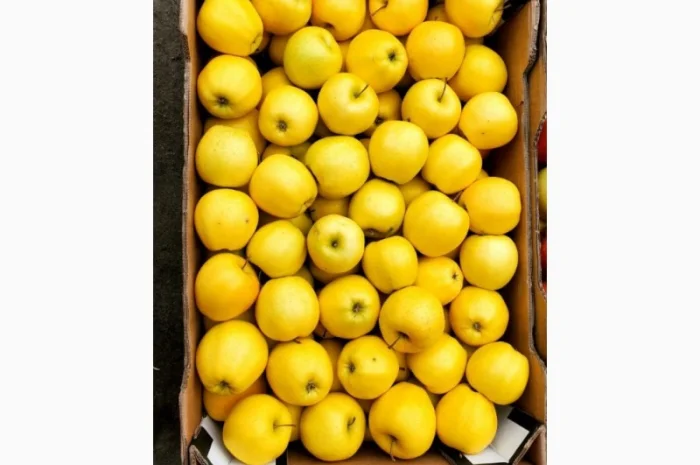 Яблука гуртом від фермерського господарства для вашого бізнесу- фото № 3