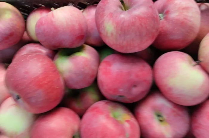 Пропоную яблука з власного саду- фото № 1