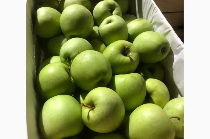 Яблоки оптом- фото № 10