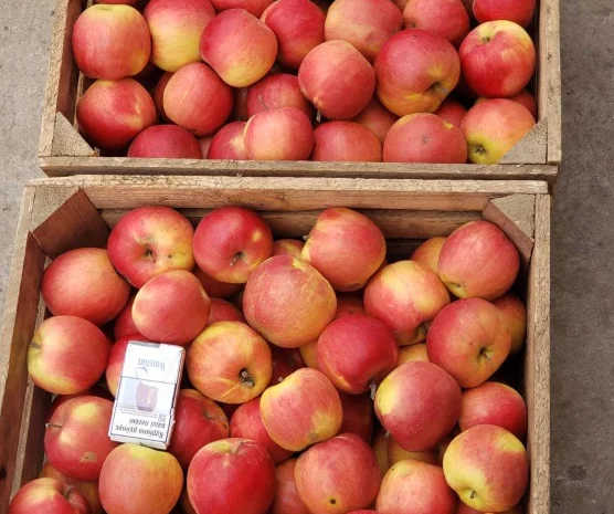 Продам ЯБЛУКА гурт: Джонаголд- фото № 1