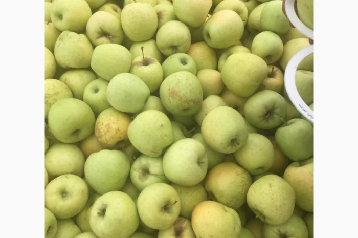 Продаем яблоки товарные и промпереработка врожай 2024 року. НДС- фото № 8