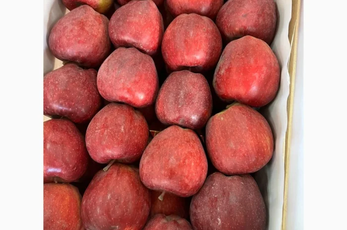 Продам яблука Ред Чіф- фото № 1