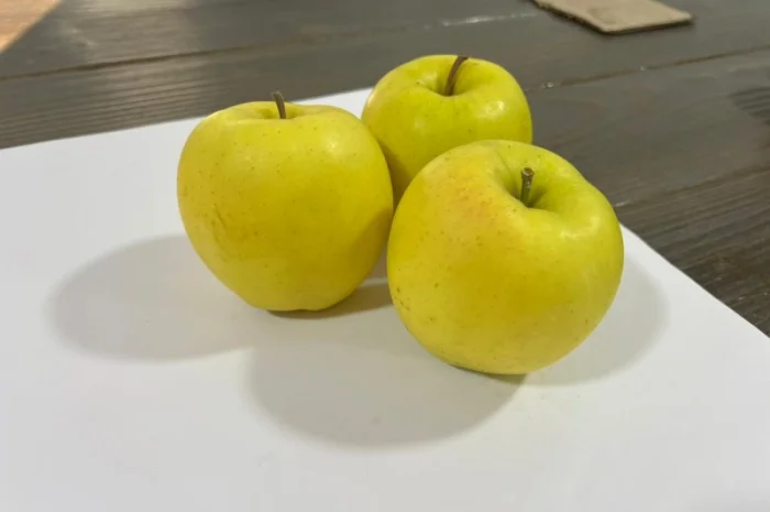Продам яблука Голден- фото № 2