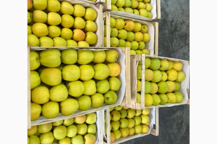 Продам яблука Голден- фото № 3