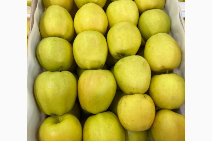 Продам яблука Голден- фото № 5