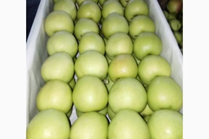 Продаємо яблука- фото № 1