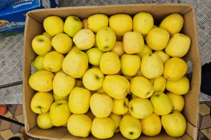 Яблука різних сортів- фото № 5