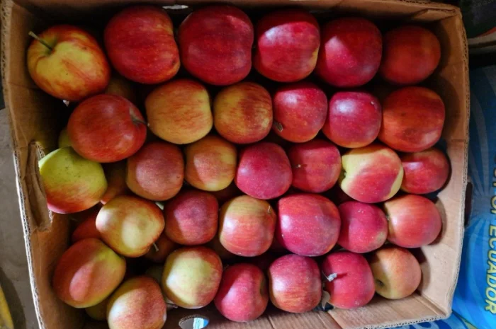 Яблука різних сортів- фото № 8