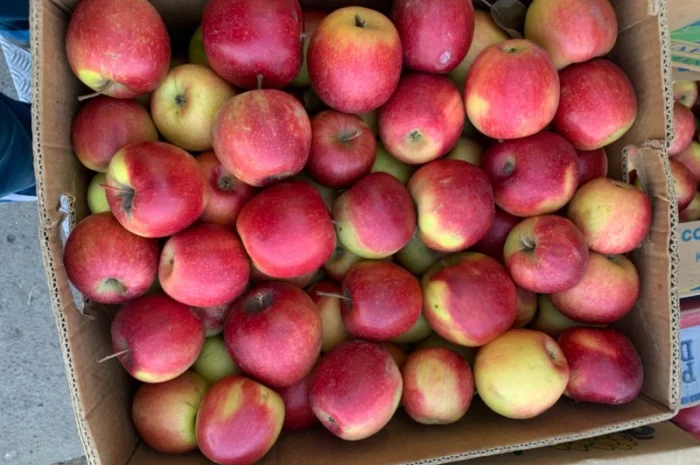 Продам яблука різних сортів- фото № 3