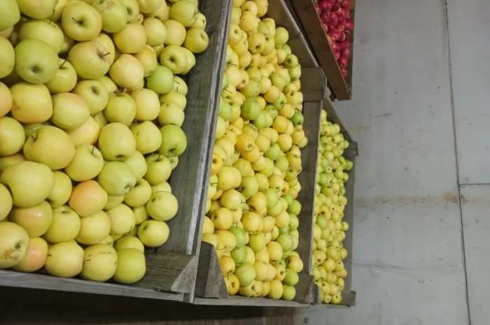 Продам яблука з холодильника АЙДАРЕД, ГОЛДЕН- фото № 6