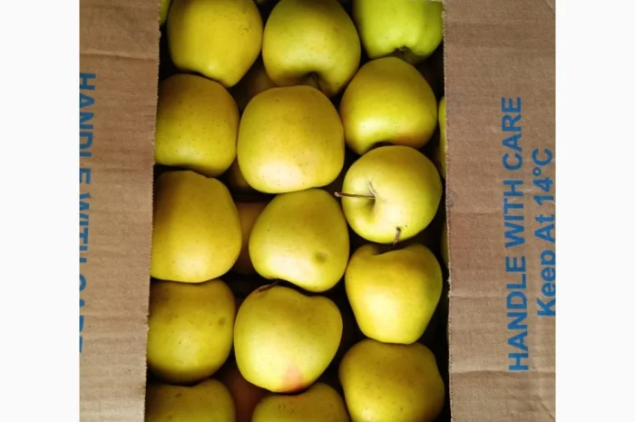 Продам Яблоко Голден- фото № 1