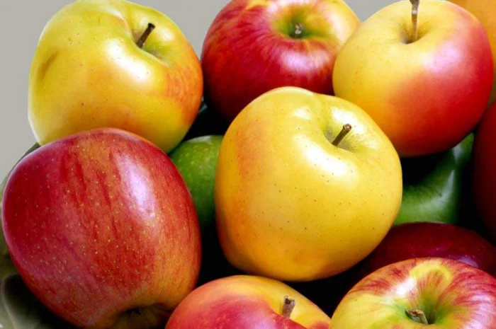 Куплю яблука оптом- фото № 1