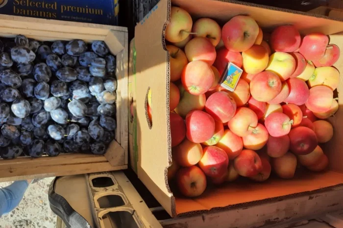 Продам яблука з власного саду- фото № 4