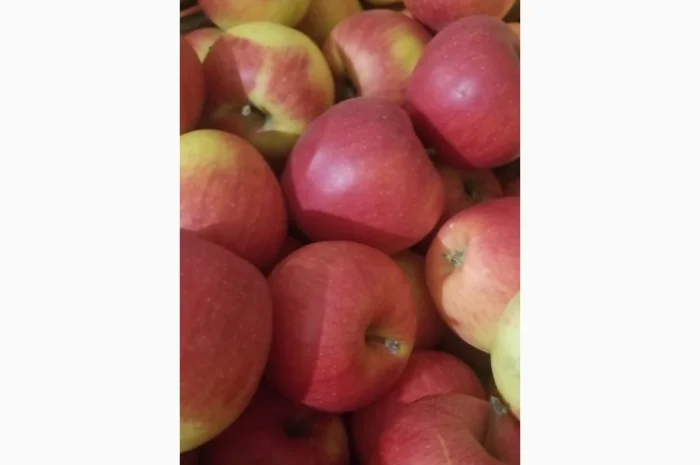 Продаються яблука різних сортів: Голден- фото № 15