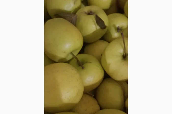 Продаються яблука різних сортів: Голден- фото № 13