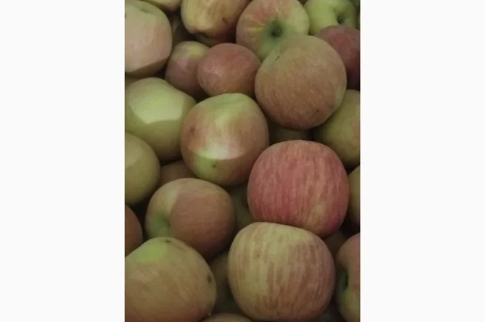 Продаються яблука різних сортів: Голден- фото № 11