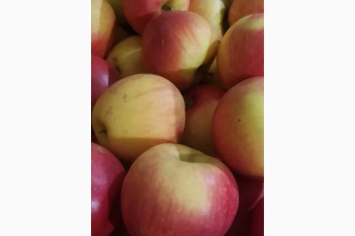 Продаються яблука різних сортів: Голден- фото № 9