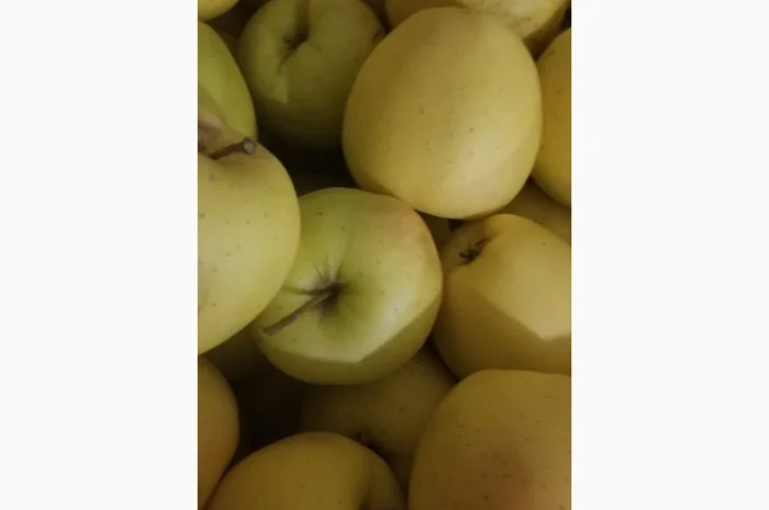 Продаються яблука різних сортів: Голден- фото № 7