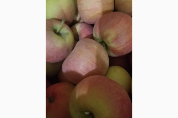 Продаються яблука різних сортів: Голден- фото № 5