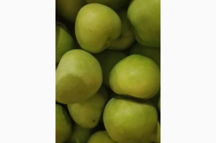 Продаються яблука різних сортів: Голден- фото № 4