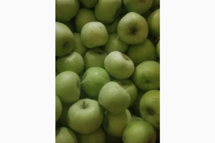 Продам яблука різних сортів: Пінова, Симеренка, Лігольт, Декоста, Фудж- фото № 6