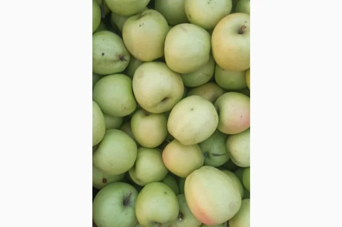 Яблука Голден, Айдаред, Флорина- фото № 1