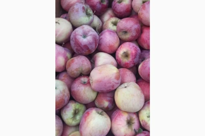 Яблука Голден, Айдаред, Флорина- фото № 2