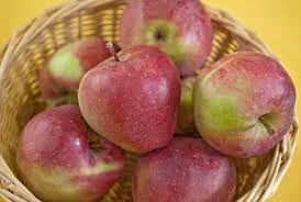 Купимо оптом яблуко сорту Глостер від 10 тон по всій Україні- фото № 1