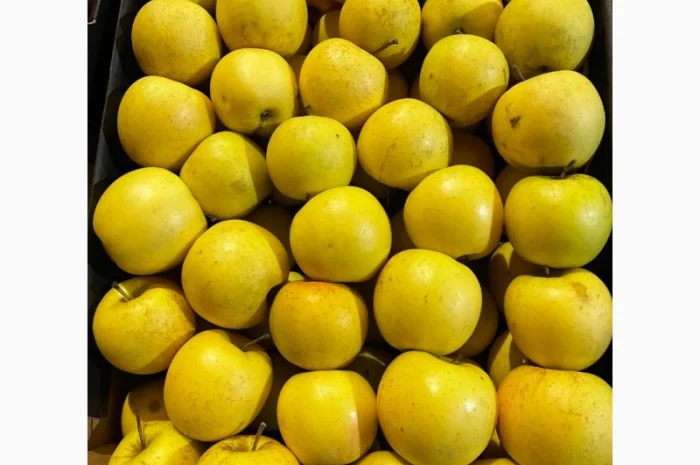 Продам яблоко- фото № 4