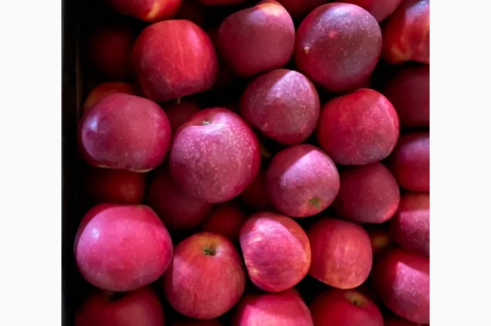 Продам яблоко- фото № 5