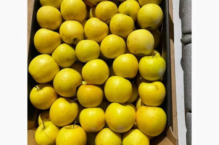 Продам яблоко- фото № 6